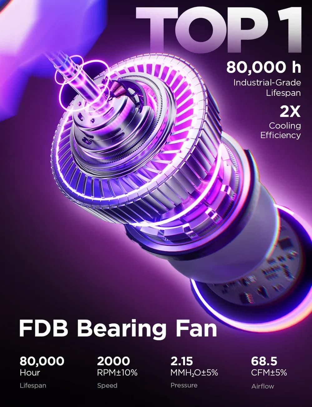 AsiaHorse CosmiQ FDB Bearing
