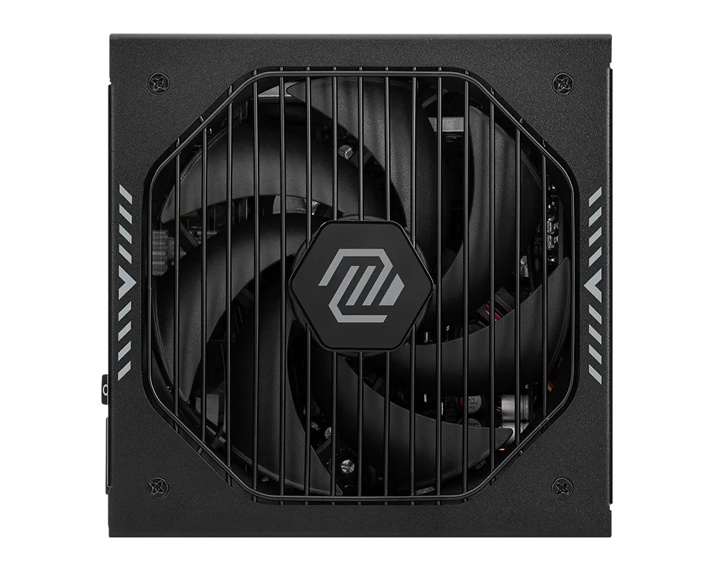 MSI MAG A1000GLS PCIE5 view 2